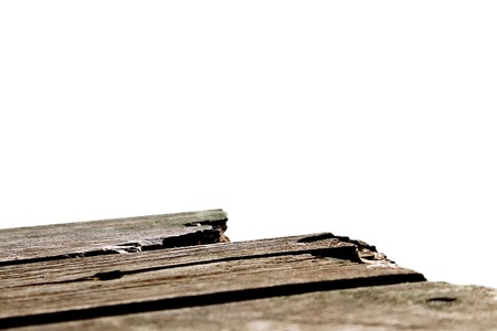 Dragonfly sits on boards on the background of a lakeの写真素材