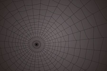 concentric white web on a gray backgroundの写真素材