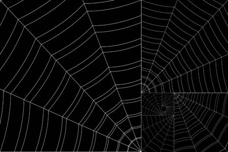 golden spiral white web on a gray backgroundの写真素材