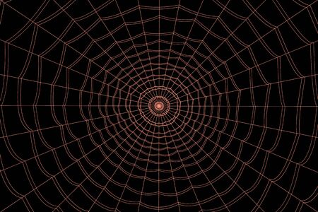 concentric white web on a gray backgroundの写真素材