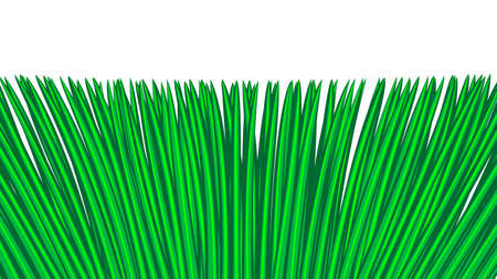 green grass seamless border, isolated over white illustrationのイラスト素材