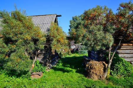 Rural landscape behind the house in gardenの写真素材
