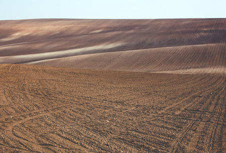 Agricultural land. Plowing levels await sowing.の写真素材