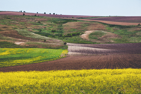 Agricultural land, varied terrain.の写真素材