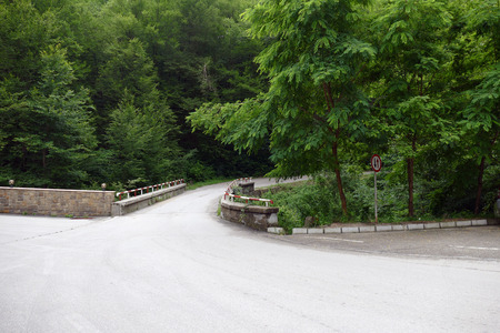 A narrow mountain road with a bridge. Green Forest.の写真素材