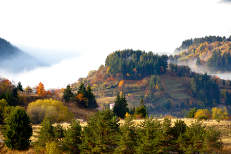 Autumn in the Rhodope Mountains, Bulgaria. Early morning. The mountain is covered with fog.の写真素材