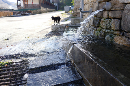 Rural fountain. Bumpy water. A little dog wants to drink water.の写真素材