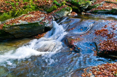Autumn landscape. Mountain stream with fallen leaves.の写真素材