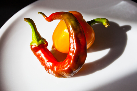 Fresh peppers of different shapes and colors.の写真素材