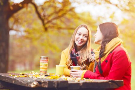 Two beautiful young women talking and enjoying on a sunny autumn dayの写真素材