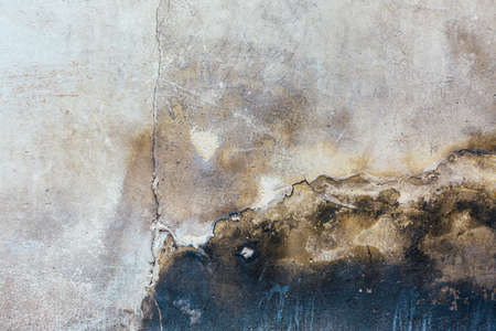 Concrete white grey wall texture backgroundの写真素材