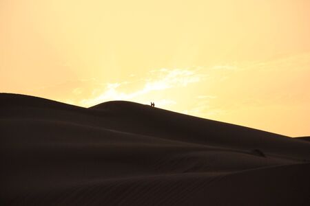 Saharaの写真素材