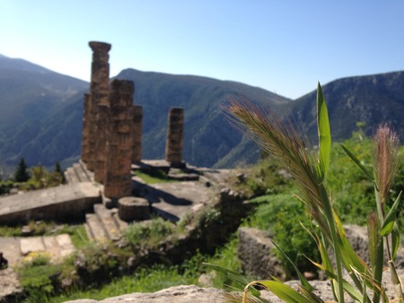 Delphi Holy Land