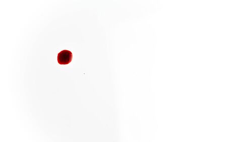 Blood on a white background. Drops and splashes of blood on a white background.の写真素材