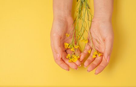 Hands art flower natural cosmetics women, yellow beautiful, spring flowers hand with bright contrast makeup, hand care. Fashion, creative beauty photo girl sitting at table,  yellow contrasting background.View from above, closeup.の写真素材