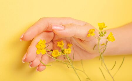 Hands art flower natural cosmetics women, yellow beautiful, spring flowers hand with bright contrast makeup, hand care. Fashion, creative beauty photo girl sitting at table,  yellow contrasting background.View from above, closeup.の写真素材