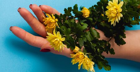 Beautiful flowers on a colored paper background. Top view with place for weaving.の写真素材