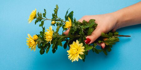 Beautiful flowers on a colored paper background. Top view with place for weaving.の写真素材