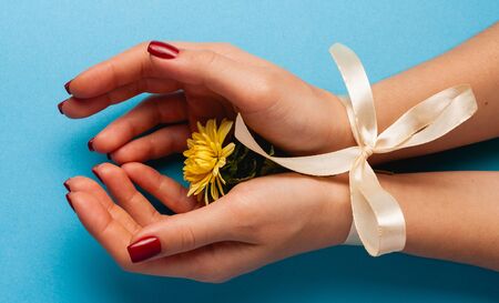 Beautiful flowers on a colored paper background. Top view with place for weaving.の写真素材