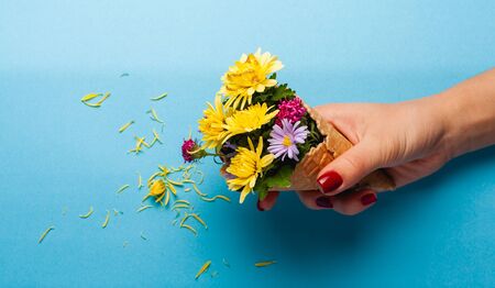Beautiful flowers on a colored paper background. Top view with place for weaving.の写真素材