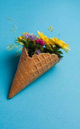 Beautiful flowers on a colored paper background. Top view with place for weaving.の写真素材