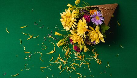 Beautiful flowers on a colored paper background. Top view with place for weaving.の写真素材