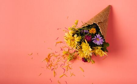 Beautiful flowers on a colored paper background. Top view with place for weaving.の写真素材