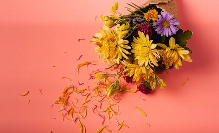 Beautiful flowers on a colored paper background. Top view with place for weaving.の写真素材