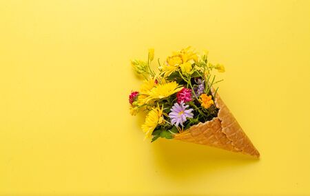 Beautiful flowers on a colored paper background. Top view with place for weaving.