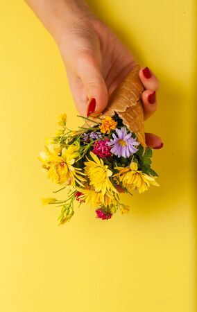 Beautiful flowers on a colored paper background. Top view with place for weaving.の写真素材