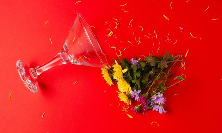Beautiful flowers on a colored paper background. Top view with place for weaving.の写真素材