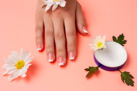Female hand and cosmetic cream on a pink background among flowers. View from top. Flat lay photo with place for text.の写真素材