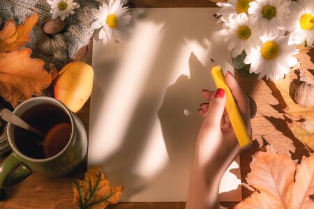 Top view of female hands holding a pencil and autumn dry leaves Mockup clipboard with a blank sheet of white paper. Creative template for inscribing your plans.の写真素材
