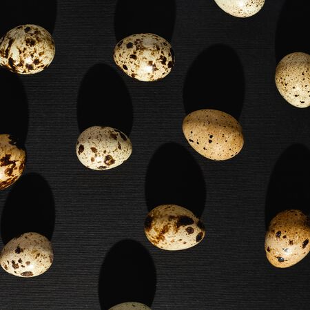 Quail eggs on a black background. Stock photo.の写真素材