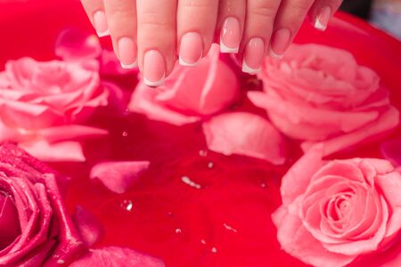 Spa Salon: Beautiful Female Hands with French Manicure in the Bowl of Water with Pink Roses and Rose Petals.の写真素材