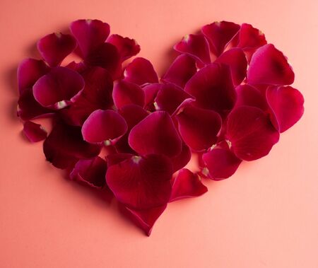 The heart is lined with rose petals. Photo for postcards.の写真素材