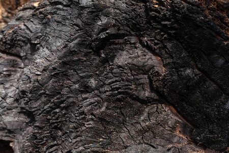 Coal texture close up. Macro burned wood surface. Black textured charcoal background.の写真素材