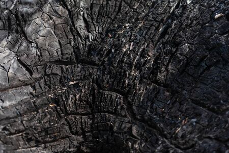 Coal texture close up. Macro burned wood surface. Black textured charcoal background.の写真素材