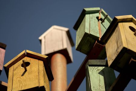 A lot of colorful birdhouses on a metal pole against the backdrop of the park. The concept of...