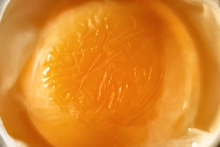 Egg yolk macro close-up.の写真素材
