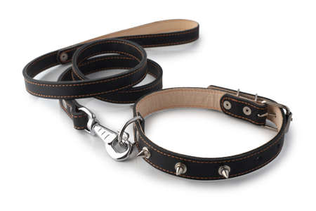 Black leather collar with spikes isolated on white background.の写真素材