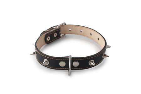 Black leather collar with spikes isolated on white background.の写真素材