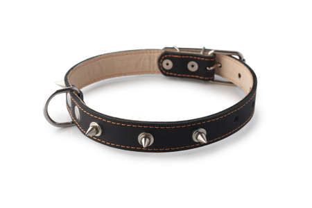 Black leather collar with spikes isolated on white background.の写真素材