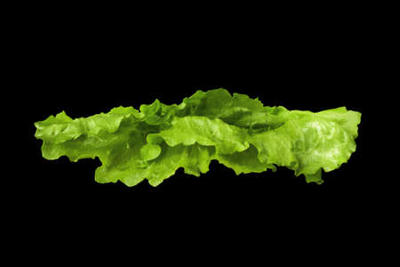 Lettuce Iceberg leaf isolated on black background close-up ingredient.の写真素材