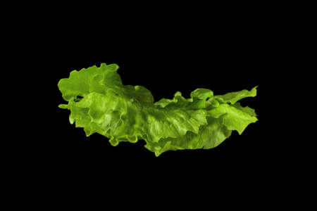 Lettuce Iceberg leaf isolated on black background close-up ingredient.の写真素材
