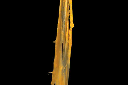 Stretching cheese isolated on black background. Ingredient preparation for design. Melting cheese.の写真素材