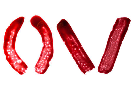 Painted in bloody paint symbol sign of slash, parentheses isolated on white background.の写真素材