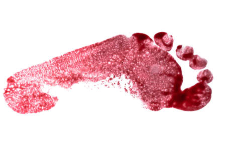 Bloody footprint isolated on white background.の写真素材