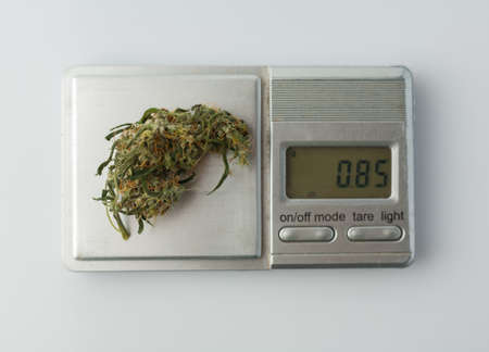 A bunch of marijuana is weighed on a small scale.の写真素材