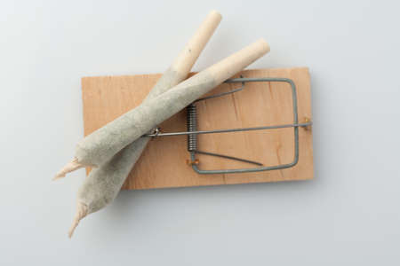Cannabis addiction. The concept of studying mental addiction to drug use.の写真素材